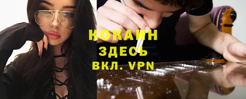 Cocaine 97%  omg сайт  Камешково 